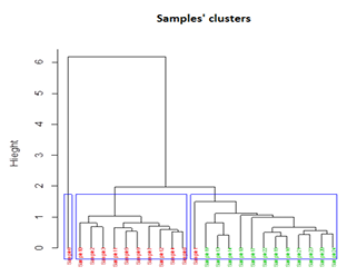 Figure 5.13 Scripts’ clusters based on the Coh-Metrix indices. 